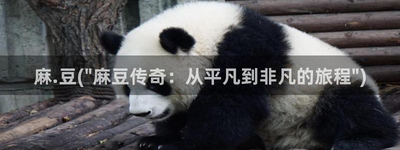 麻豆精品：麻.豆(\