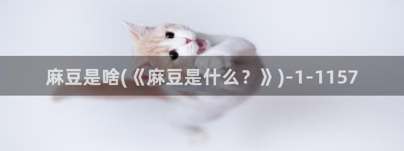 日韩中文麻豆专区