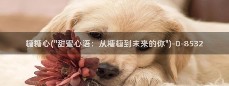 糖心vlog哪个好看：糖糖心(\