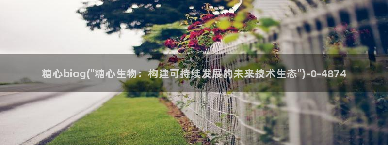 柚子猫糖心vlog完整版：糖心biog(\
