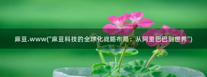 麻豆软件：麻豆.www(\