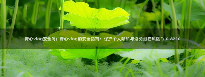 糖心vlog苹果：糖心vlog安全吗(\