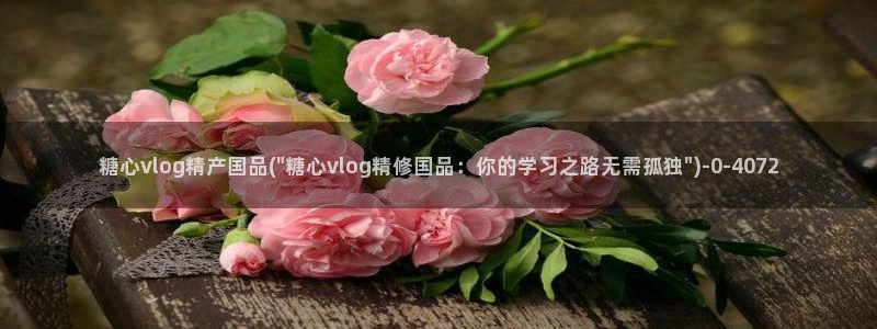 9.1糖心vlog：糖心vlog精产国品(\