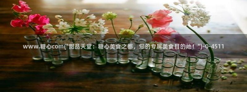 糖心vlog官方在线观看：www.糖心com(\